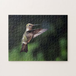 Quebra-cabeça Hummingbird