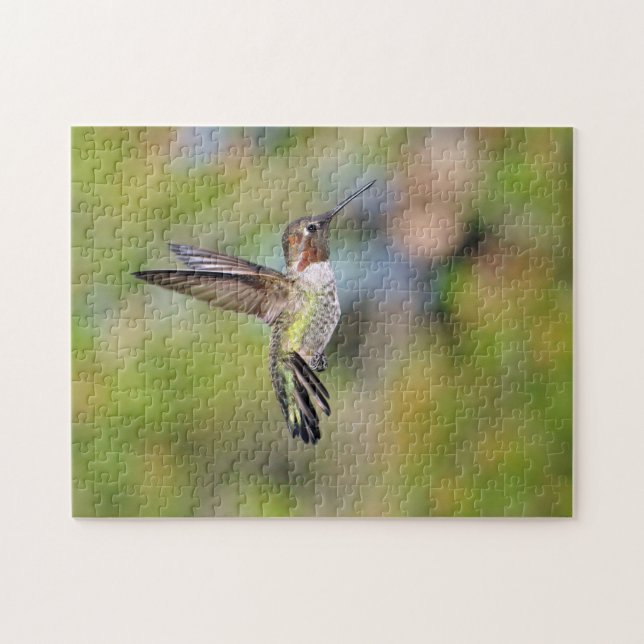 Quebra-cabeça Hummingbird (Horizontal)