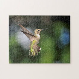 Quebra-cabeça Hummingbird