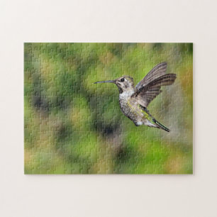 Quebra-cabeça Hummingbird