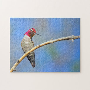 Quebra-cabeça Hummingbird