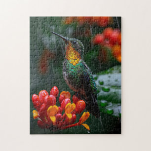 Quebra-cabeça Hummingbird Emperrado na Flor Brilhante
