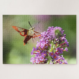 Quebra-cabeça Hummingbird Moth em uma Borboleta Bush