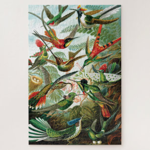 Quebra-cabeça Hummingbird por Ernst Haeckel