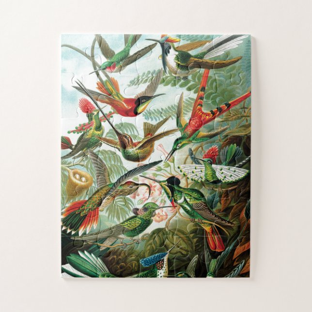 Quebra-cabeça Hummingbird por Ernst Haeckel (Vertical)