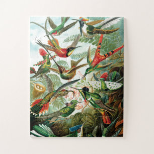 Quebra-cabeça Hummingbirds by Ernst Haeckel