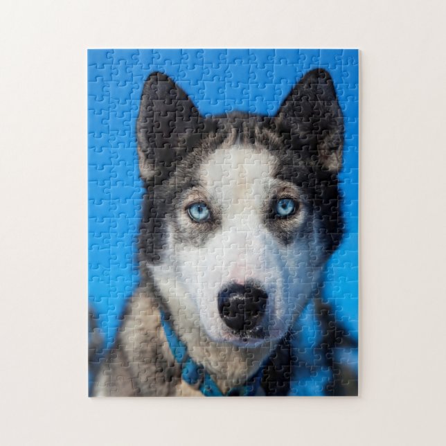Quebra-cabeça Husky do Alasca. (Vertical)