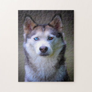 Quebra-cabeça Husky Jigsaws siberiano.