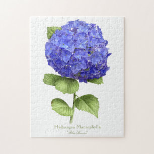 Quebra-cabeça Hydrangea azul