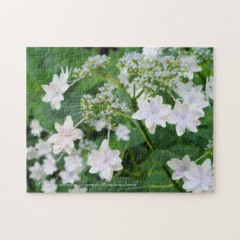 Quebra-cabeça Hydrangea 'Sumida-no-hanabi' [quebra-cabeça do ser