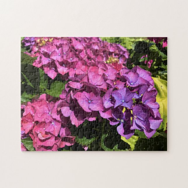 Quebra-cabeça Hydrangeas (Horizontal)