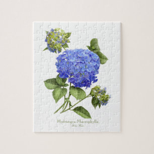 Quebra-cabeça Hydrangeas azuis