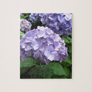 Quebra-cabeça Hydrangeas em jardins de Trebah, Cornualha