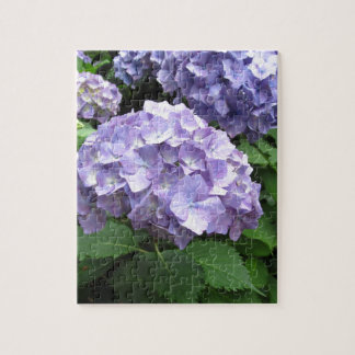 Quebra-cabeça Hydrangeas em jardins de Trebah, Cornualha