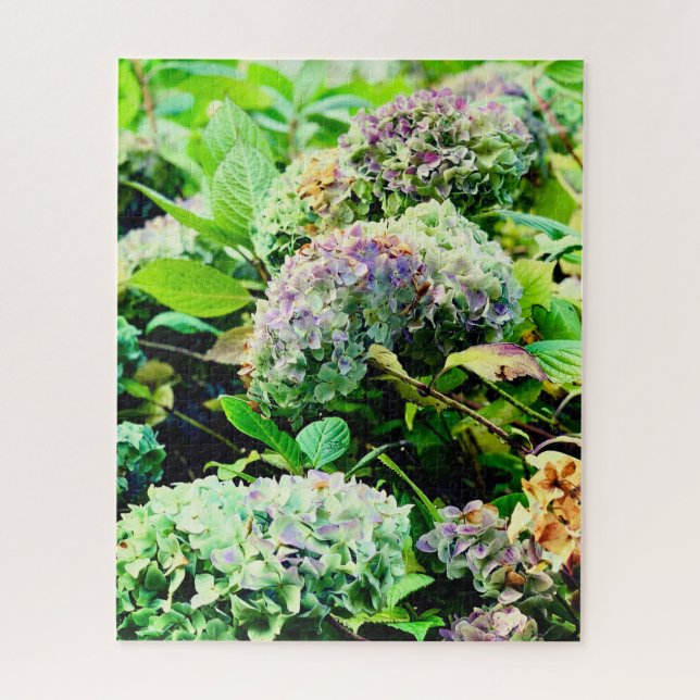 Quebra-cabeça Hydrangeas na Irlanda do Norte (Vertical)