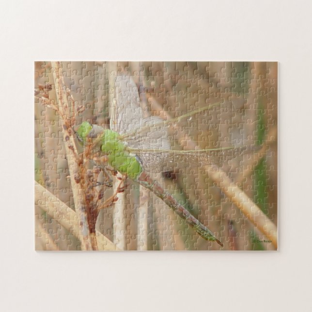 Quebra-cabeça I1 Dragonfly Verde (Horizontal)