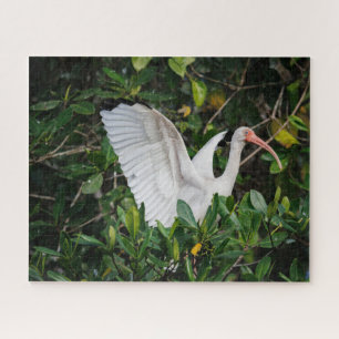 Quebra-cabeça Ibis Branco