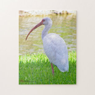 Quebra-cabeça Ibis Em Uma Fotografia De Perna