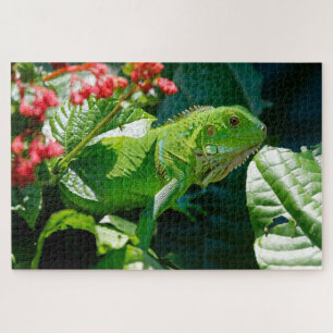 Quebra-cabeça Iguana