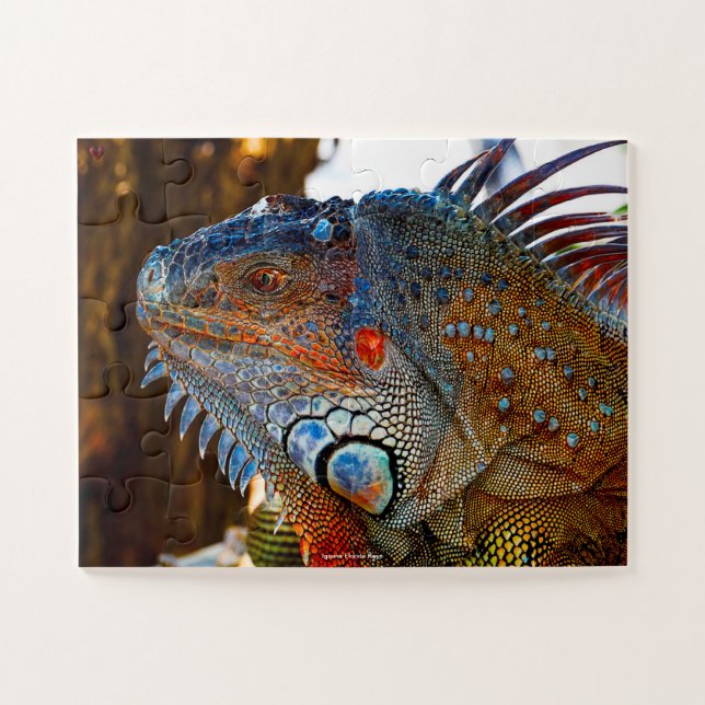 Quebra-cabeça Iguana das Chaves da Flórida (Horizontal)