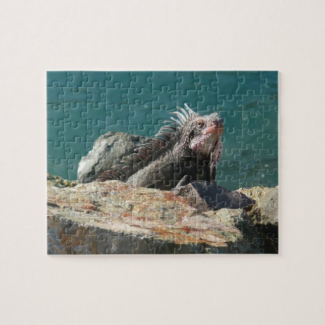 Quebra-cabeça Iguana em St. Thomas (Horizontal)