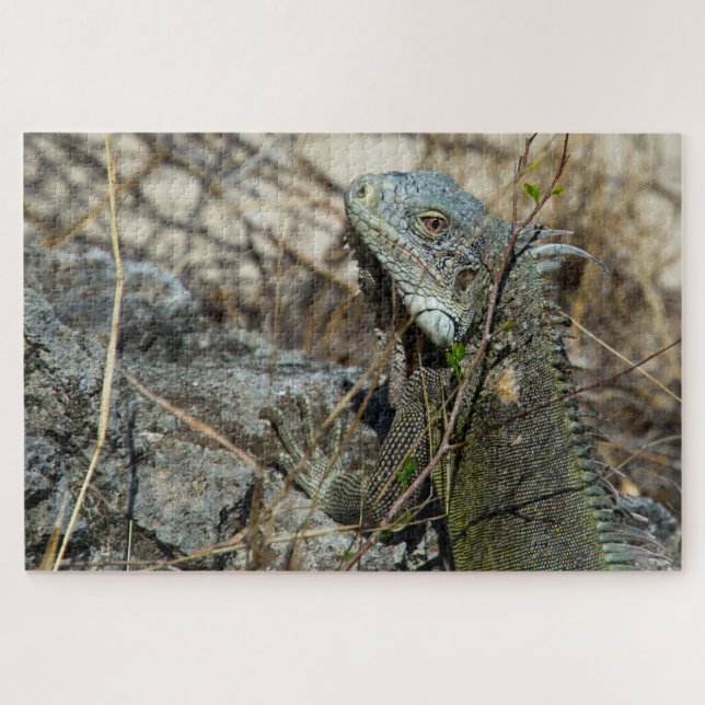 Quebra-cabeça Iguana Poing on Rock for Camera (Horizontal)