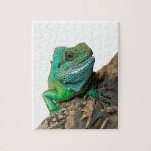 Quebra-cabeça Iguana verde