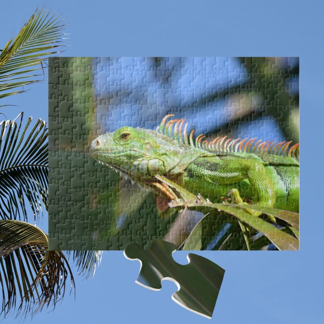 Quebra-cabeça Iguana Verde em uma Árvore de Palmeira Fotográfica (Criador carregado)