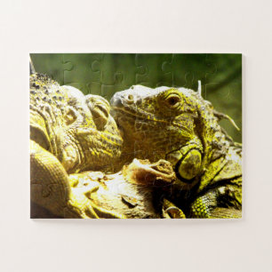 Quebra-cabeça Iguanas
