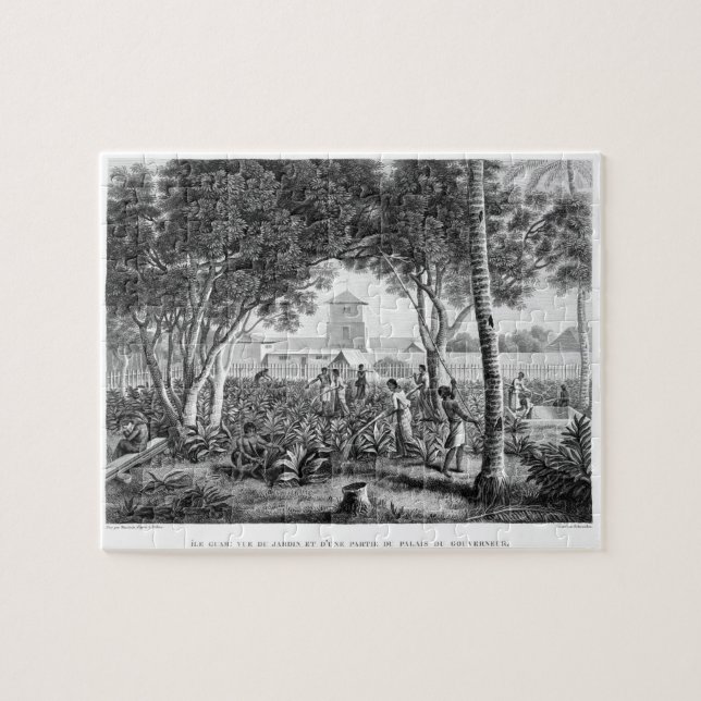 Quebra-cabeça Ilha de Guam: Nativos no trabalho no jardim de t (Horizontal)