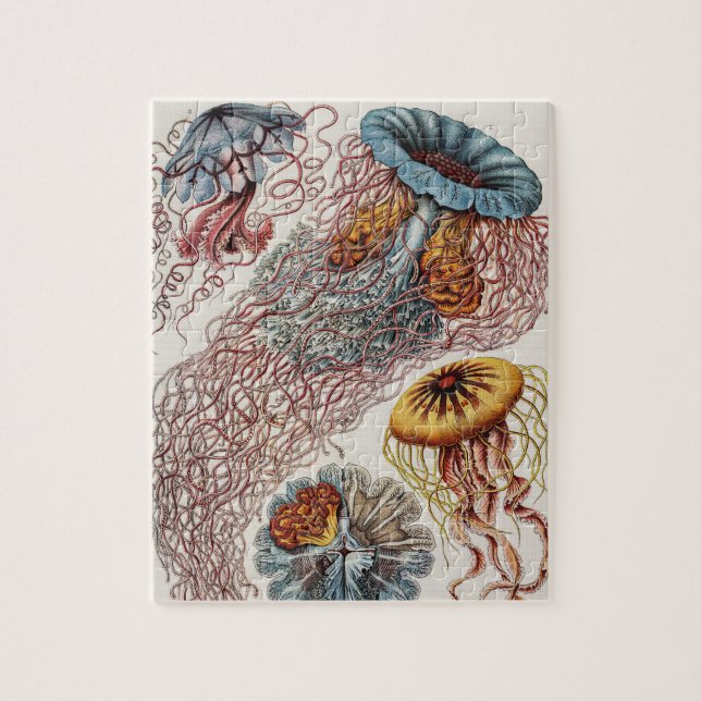Quebra-cabeça Ilustração da vida marinha - Ernst Haeckel (Vertical)