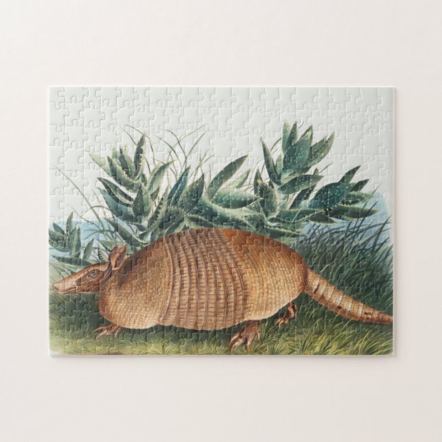 Quebra-cabeça Ilustração de Cute Vintage Armadillo (Horizontal)