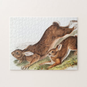 Quebra-cabeça Ilustração de Lepus Americanus (norte Hare)