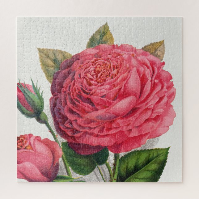 Quebra-cabeça Ilustração de Rosa Rosa Vintage (Vertical)
