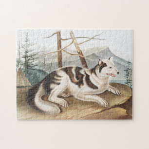 Quebra-cabeça Ilustração do Cão Índio lebre (Canis familiaris)
