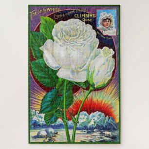 Quebra-cabeça Ilustração do catálogo de rosa de 1890 White Ro