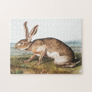 Quebra-cabeça Ilustração do Coelho da Lepus Texianus