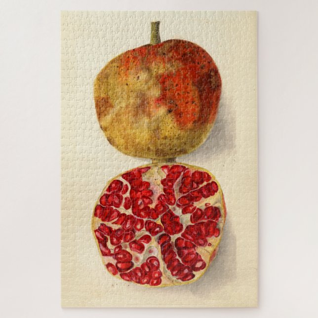Quebra-cabeça Ilustração Vintage de um Pomegranato (Vertical)