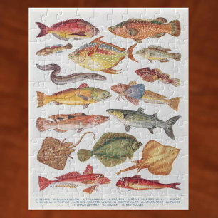 Quebra-cabeça Ilustrações de Peixes de Água Salgada