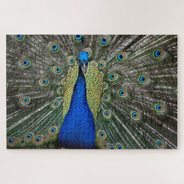 Quebra-cabeça Ímã Pavão Majestoso (Horizontal)