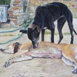 Quebra-cabeça imagem animal realista de cão de galgos