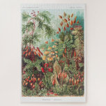 Quebra-cabeça Imagem da Vintagem Artística Natureza Ernst Haecke<br><div class="desc">Imagem da Vintagem Artística Nature Ernst Haeckel Quebra-cabeça</div>