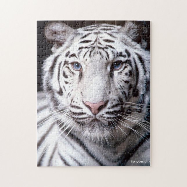 Quebra-cabeça Imagem de Fotografia Branca de Tigre (Vertical)