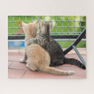 Quebra-cabeça Imagens de Getty dois gatinhos em um balcão