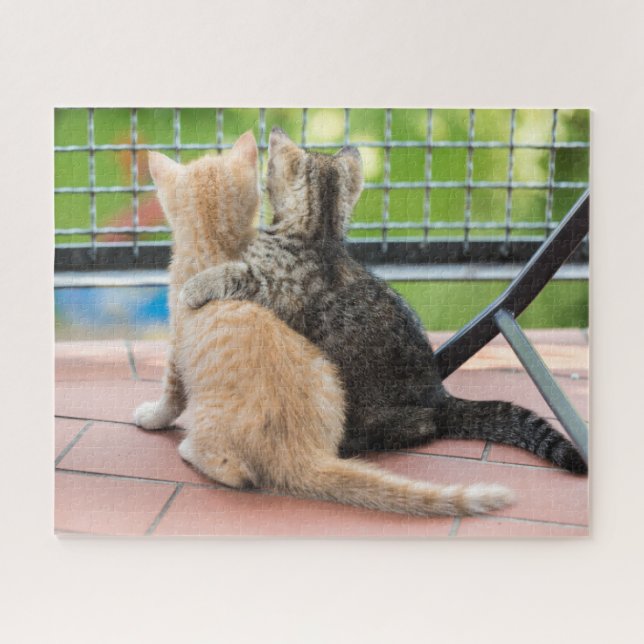 Quebra-cabeça Imagens de Getty | dois gatinhos em um balcão (Horizontal)
