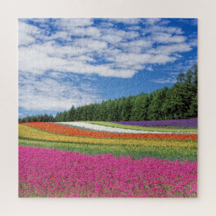 Quebra-cabeça impossível - Campo da Flor