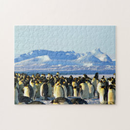 Quebra-cabeça impossível - Colônia de Pinguins