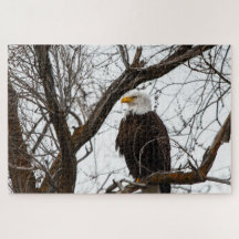 Quebra-cabeça impossível - Haliaeetus