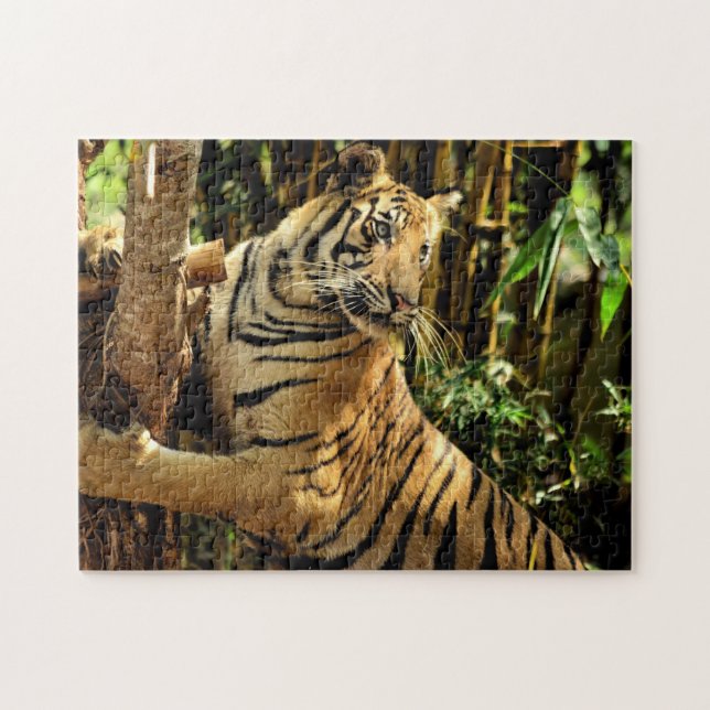 Quebra-cabeça impossível - Tigre Selva (Horizontal)