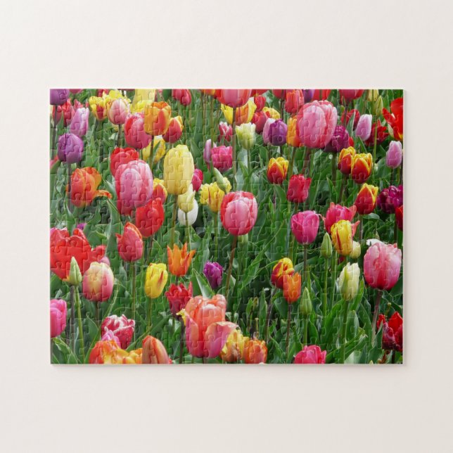 Quebra-cabeça Impossível - Tulipas (Horizontal)